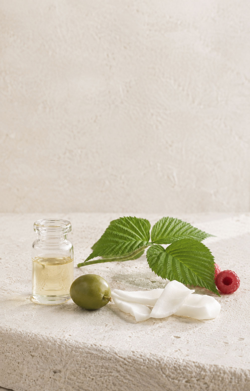 Huile d’olive, huile de coco et feuilles de framboisier sur pierre claire