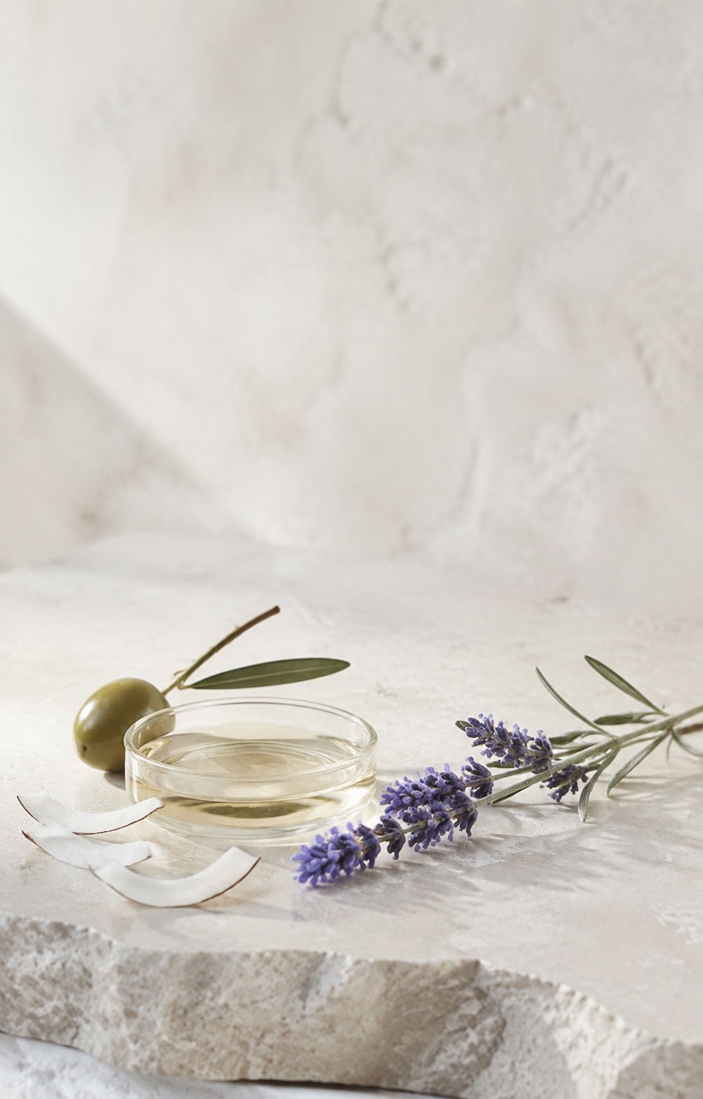Huile d’olive, noix de coco et fleurs de lavande sur pierre claire