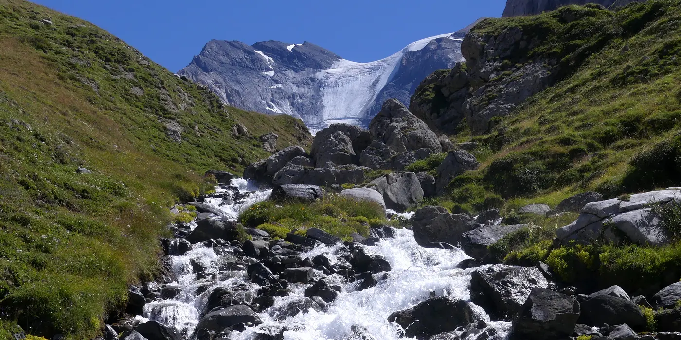 Torrent de la Glière entre les rochers et les alpages, avec la Grande Casse en arrière-plan.
